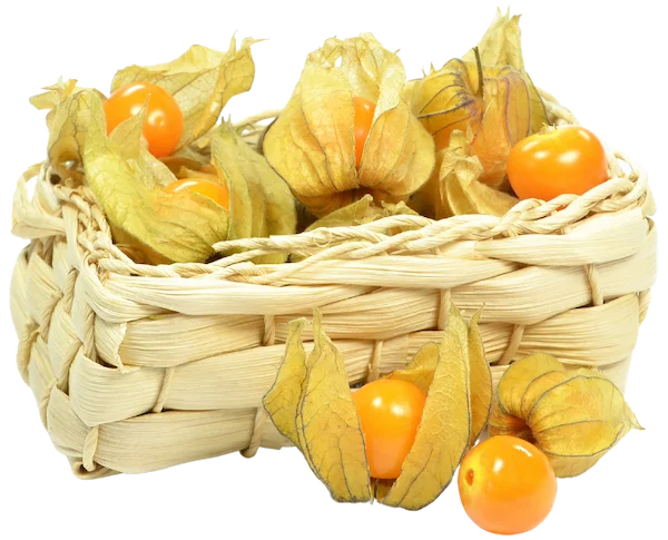 pasteleria sana en fuente palmera